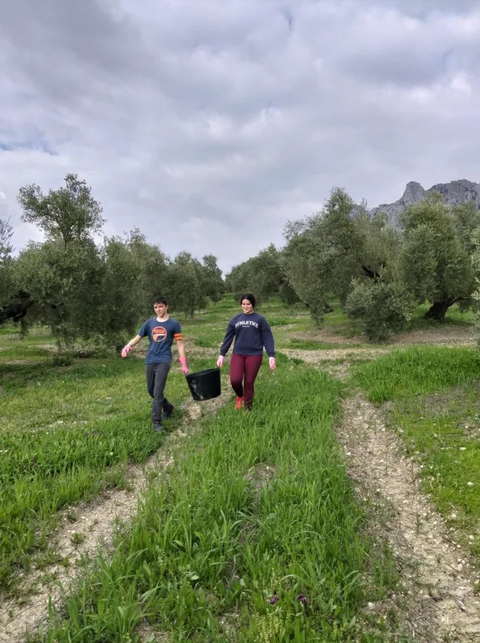 Jóvenes con diversidad funcional en el olivar
