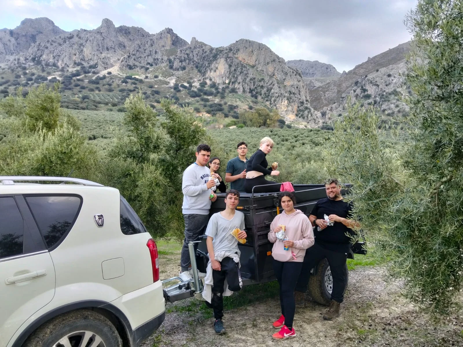 Jóvenes trabajando en el olivar centenario