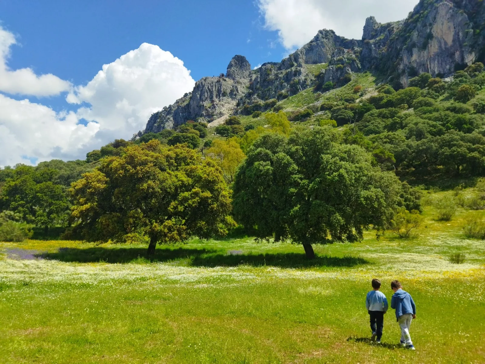 Experiencia en la Dehesa Vichira, Geoparque UNESCO Sierras Subbéticas